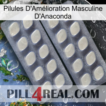 Anaconda Male Enhancement Pills 07
